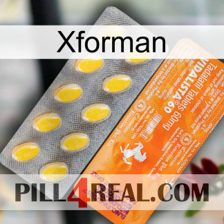 Xforman new05